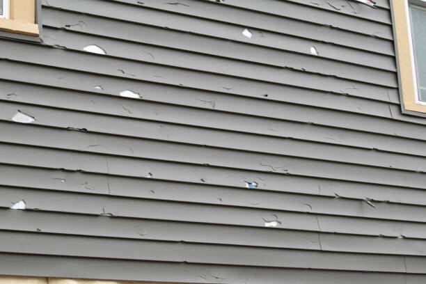 Best Composite Siding  in USA